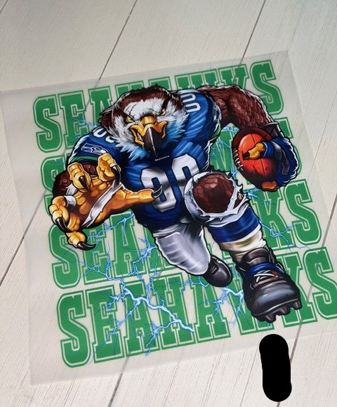 Seahawks Football