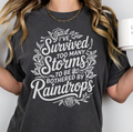 Storms and Raindrops